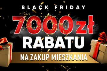 Black Friday 2024 - zdobądź największy rabat tego roku!